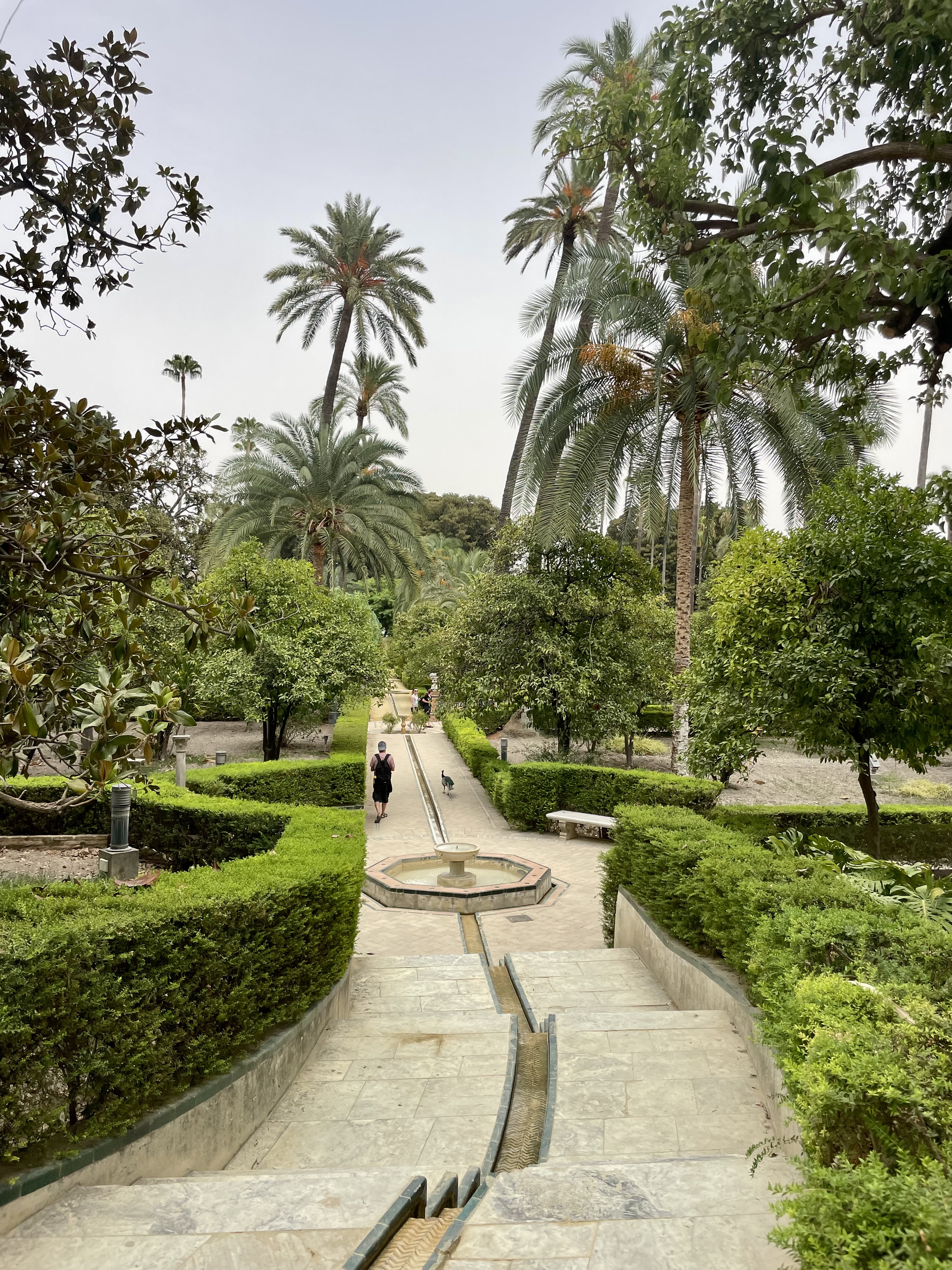 The Real Alcazar de Seville