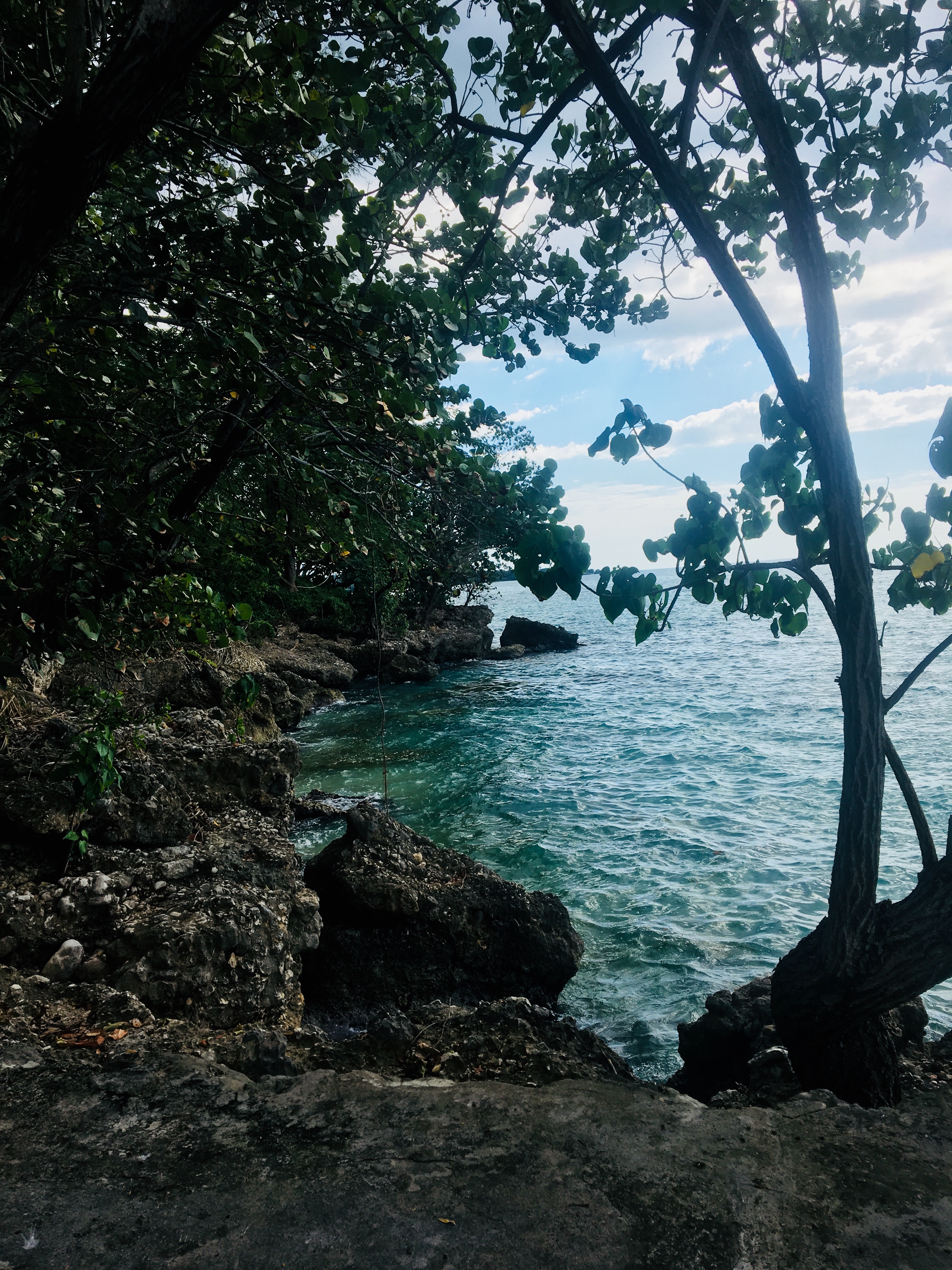 Rocky Beach in Jamica