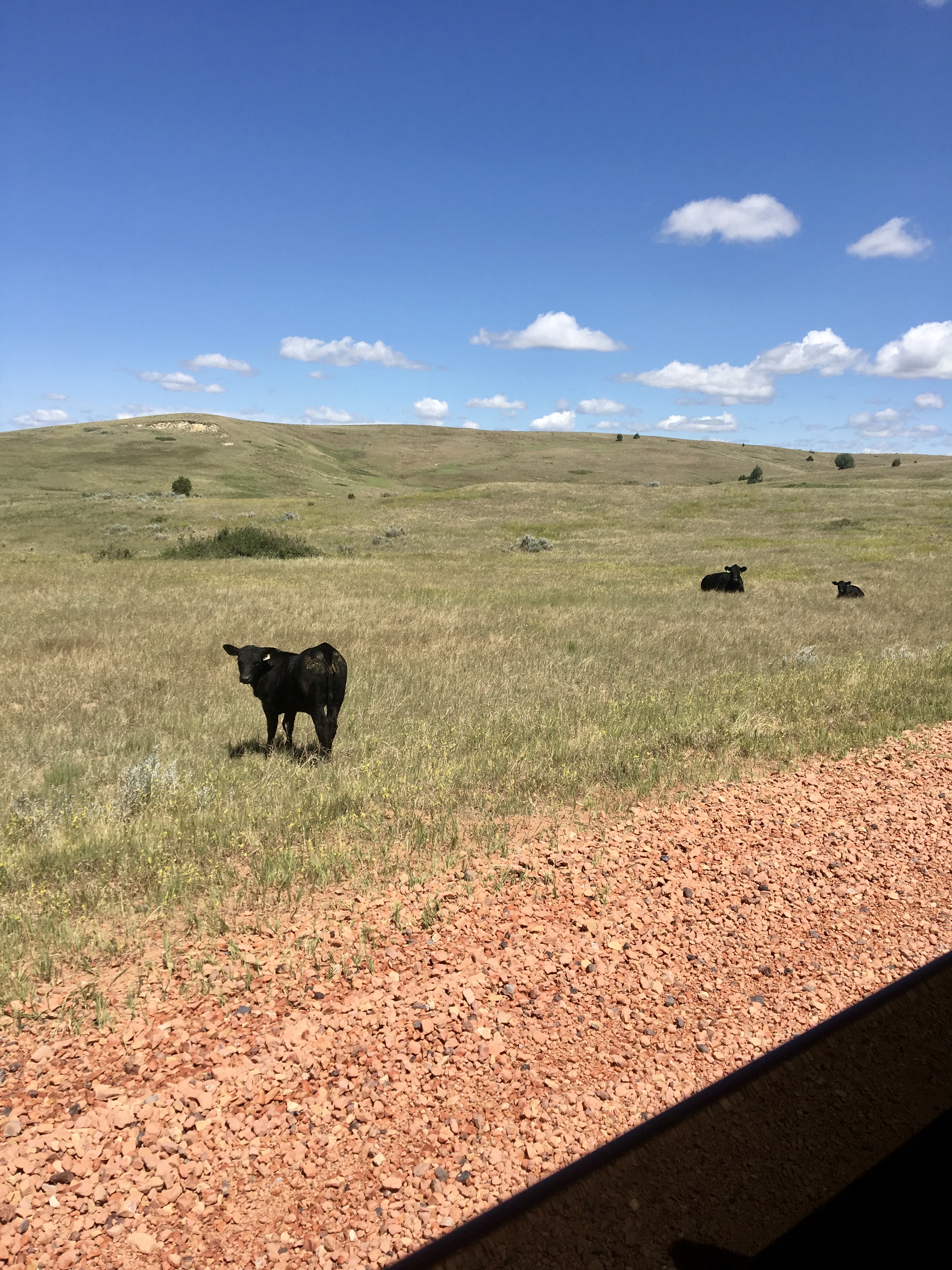 Praries of North Dakota