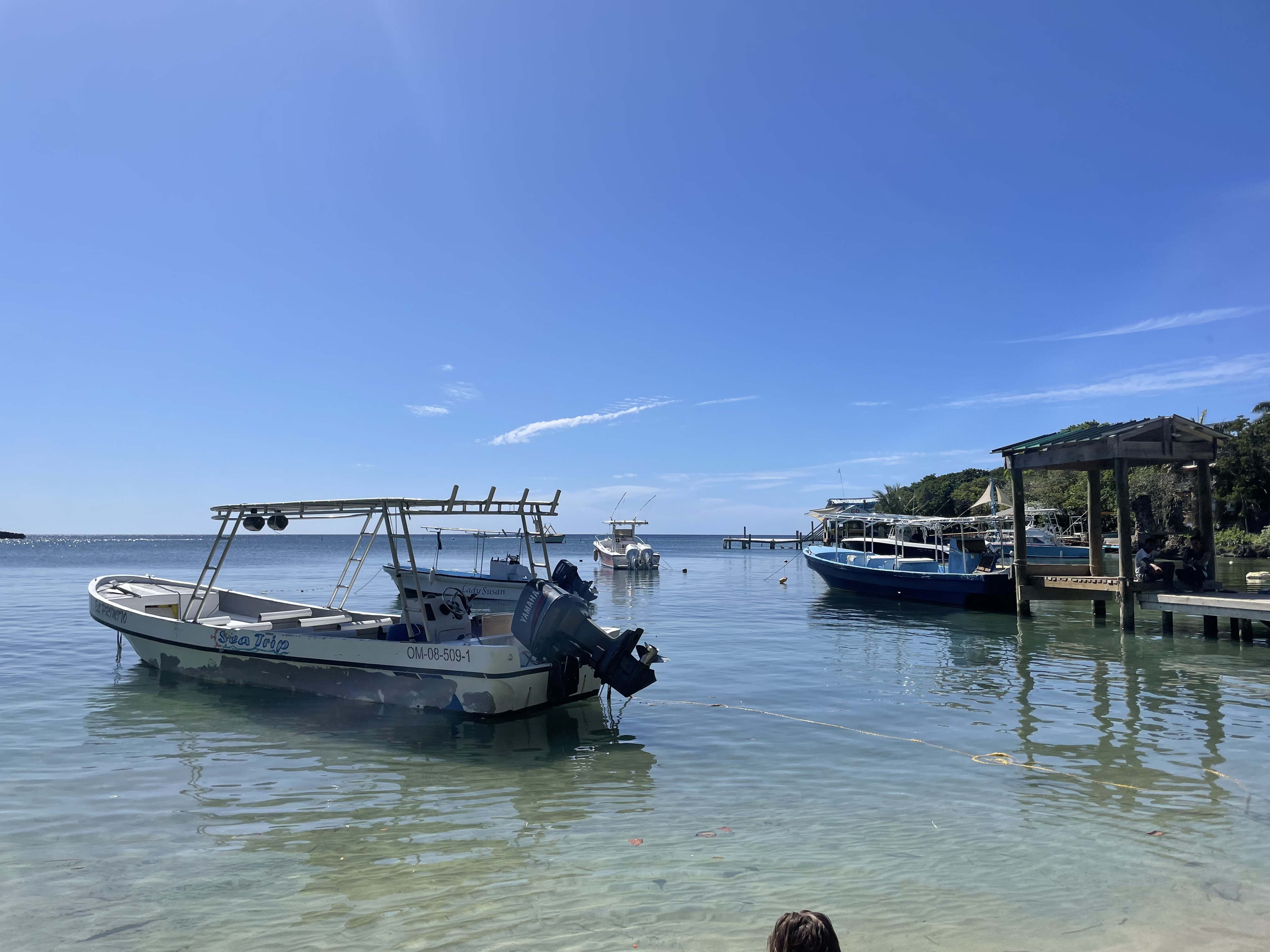 Roatan Boat
